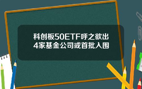 科创板50ETF呼之欲出4家基金公司或首批入围