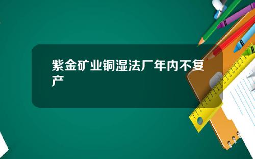 紫金矿业铜湿法厂年内不复产