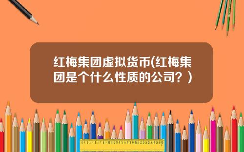 红梅集团虚拟货币(红梅集团是个什么性质的公司?)