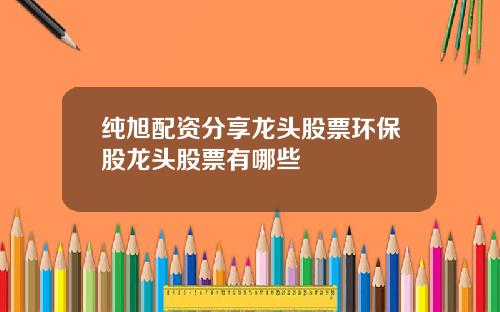 纯旭配资分享龙头股票环保股龙头股票有哪些