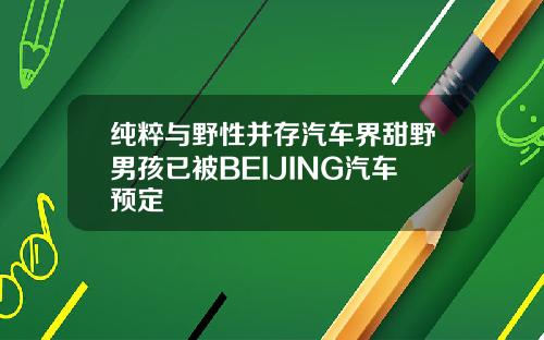 纯粹与野性并存汽车界甜野男孩已被BEIJING汽车预定