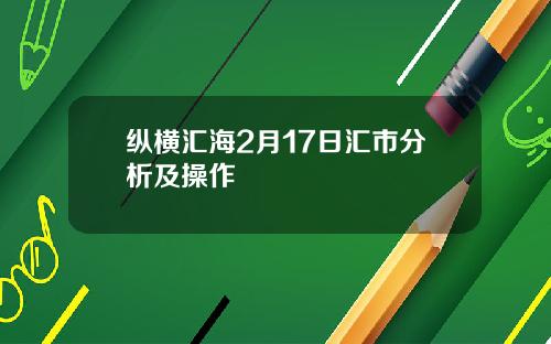 纵横汇海2月17日汇市分析及操作