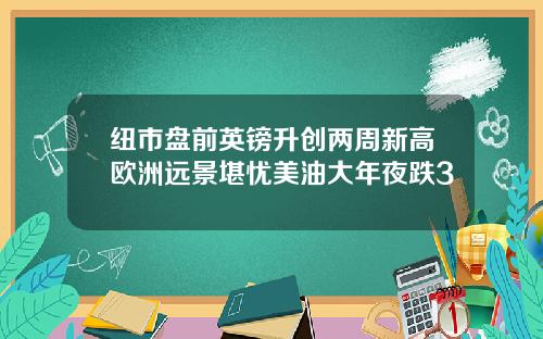 纽市盘前英镑升创两周新高欧洲远景堪忧美油大年夜跌3