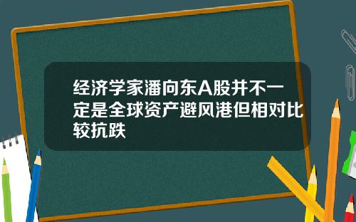 经济学家潘向东A股并不一定是全球资产避风港但相对比较抗跌