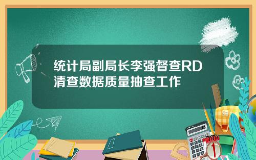 统计局副局长李强督查RD清查数据质量抽查工作