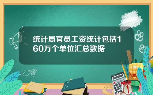 统计局官员工资统计包括160万个单位汇总数据