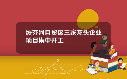 绥芬河自贸区三家龙头企业项目集中开工