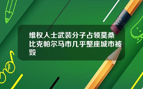 维权人士武装分子占领莫桑比克帕尔马市几乎整座城市被毁