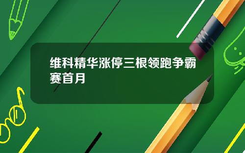 维科精华涨停三根领跑争霸赛首月