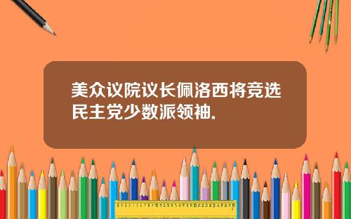 美众议院议长佩洛西将竞选民主党少数派领袖.