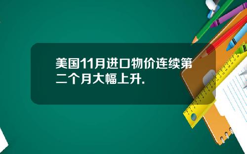 美国11月进口物价连续第二个月大幅上升.