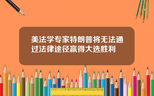美法学专家特朗普将无法通过法律途径赢得大选胜利