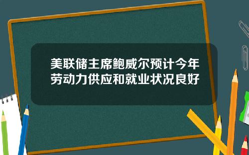 美联储主席鲍威尔预计今年劳动力供应和就业状况良好