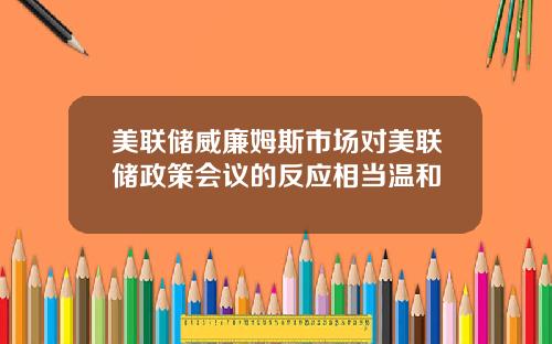 美联储威廉姆斯市场对美联储政策会议的反应相当温和