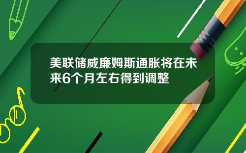 美联储威廉姆斯通胀将在未来6个月左右得到调整