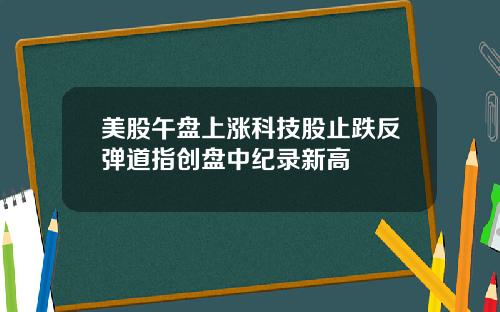 美股午盘上涨科技股止跌反弹道指创盘中纪录新高