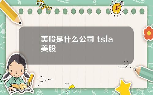 美股是什么公司 tsla美股