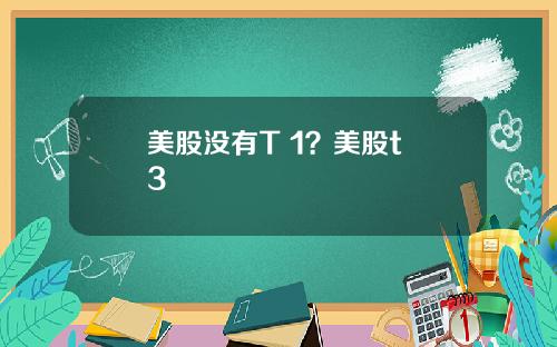 美股没有T 1?美股t+3