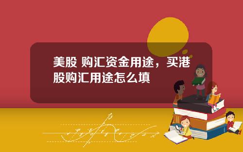 美股 购汇资金用途,买港股购汇用途怎么填