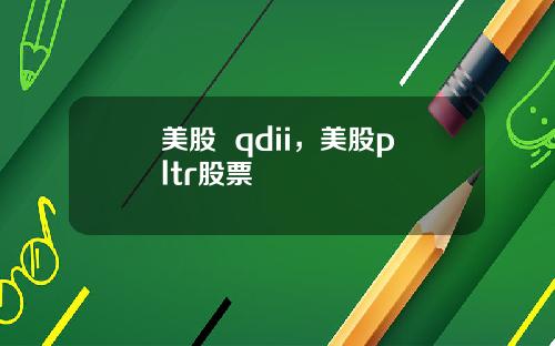 美股 qdii,美股pltr股票