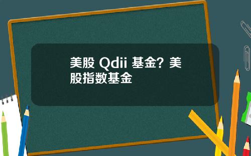 美股 Qdii 基金?美股指数基金