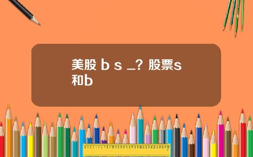 美股 b s _?股票s和b