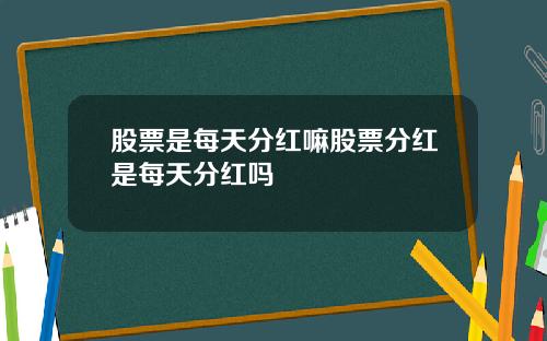 股票是每天分红嘛股票分红是每天分红吗