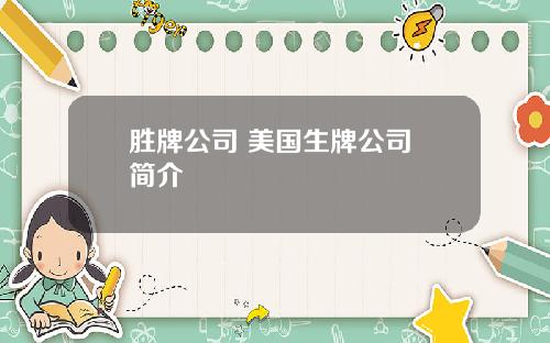 胜牌公司 美国生牌公司 简介