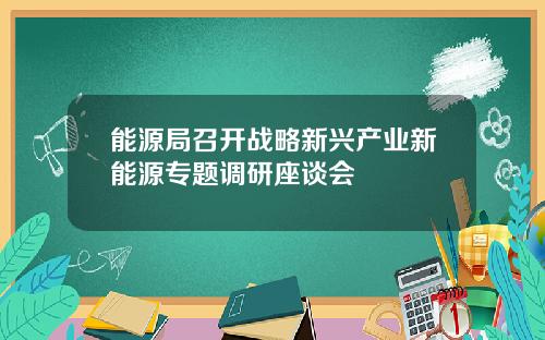 能源局召开战略新兴产业新能源专题调研座谈会
