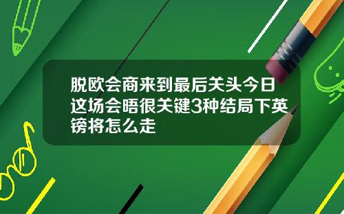 脱欧会商来到最后关头今日这场会晤很关键3种结局下英镑将怎么走