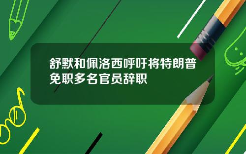 舒默和佩洛西呼吁将特朗普免职多名官员辞职