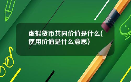 虚拟货币共同价值是什么(使用价值是什么意思)