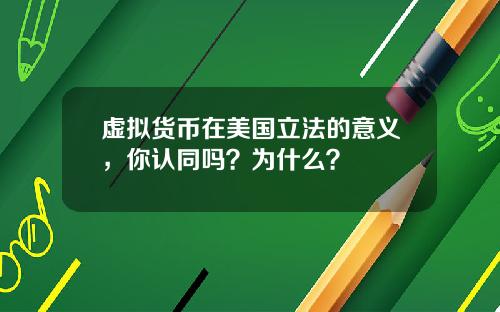 虚拟货币在美国立法的意义,你认同吗?为什么?