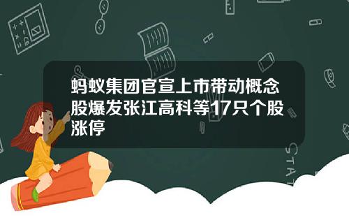 蚂蚁集团官宣上市带动概念股爆发张江高科等17只个股涨停