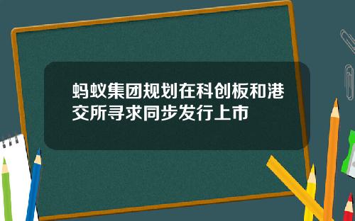 蚂蚁集团规划在科创板和港交所寻求同步发行上市