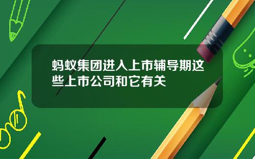 蚂蚁集团进入上市辅导期这些上市公司和它有关