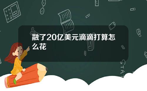 融了20亿美元滴滴打算怎么花