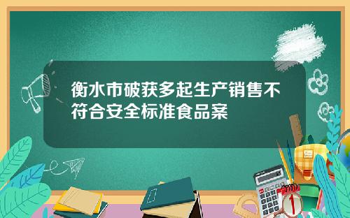 衡水市破获多起生产销售不符合安全标准食品案