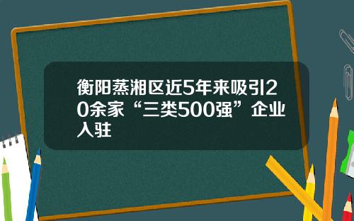 衡阳蒸湘区近5年来吸引20余家“三类500强”企业入驻