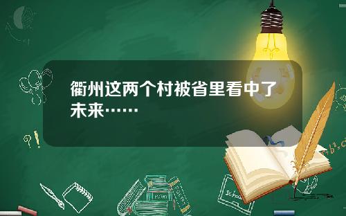 衢州这两个村被省里看中了未来……