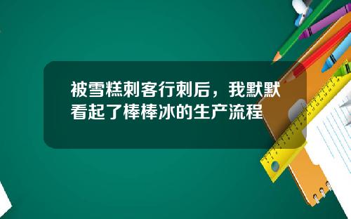 被雪糕刺客行刺后,我默默看起了棒棒冰的生产流程