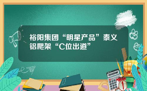 裕阳集团“明星产品”泰义铝爬架“C位出道”