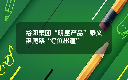裕阳集团“明星产品”泰义铝爬架“C位出道”