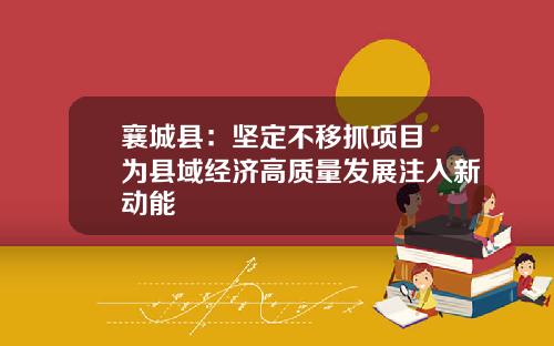 襄城县:坚定不移抓项目 为县域经济高质量发展注入新动能