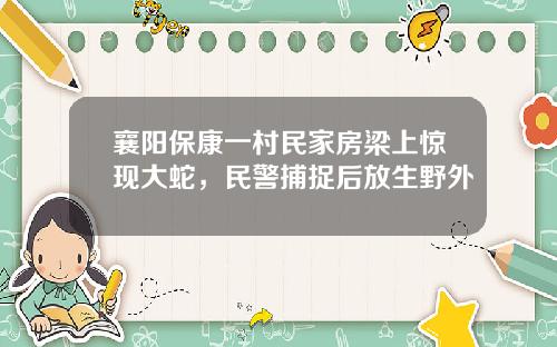 襄阳保康一村民家房梁上惊现大蛇,民警捕捉后放生野外