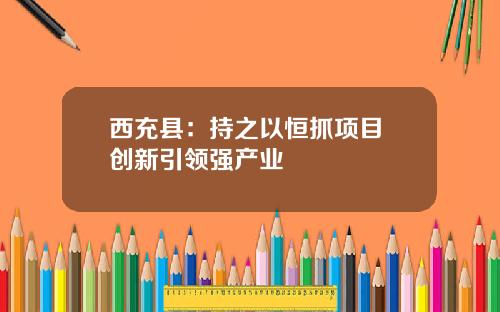 西充县:持之以恒抓项目 创新引领强产业