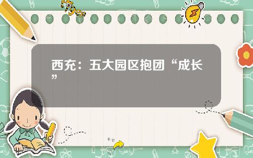 西充:五大园区抱团“成长”