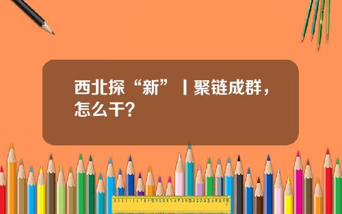 西北探“新”丨聚链成群,怎么干?