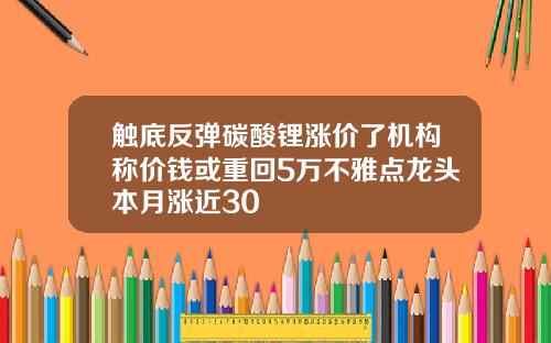 触底反弹碳酸锂涨价了机构称价钱或重回5万不雅点龙头本月涨近30