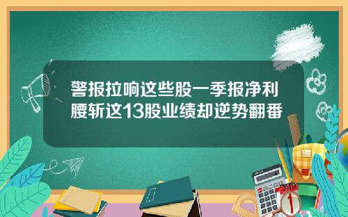 警报拉响这些股一季报净利腰斩这13股业绩却逆势翻番